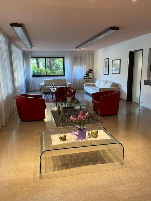 Ascona: Residenza Sabrina,app 2.5 locali e piscina Appartamento Esterno foto